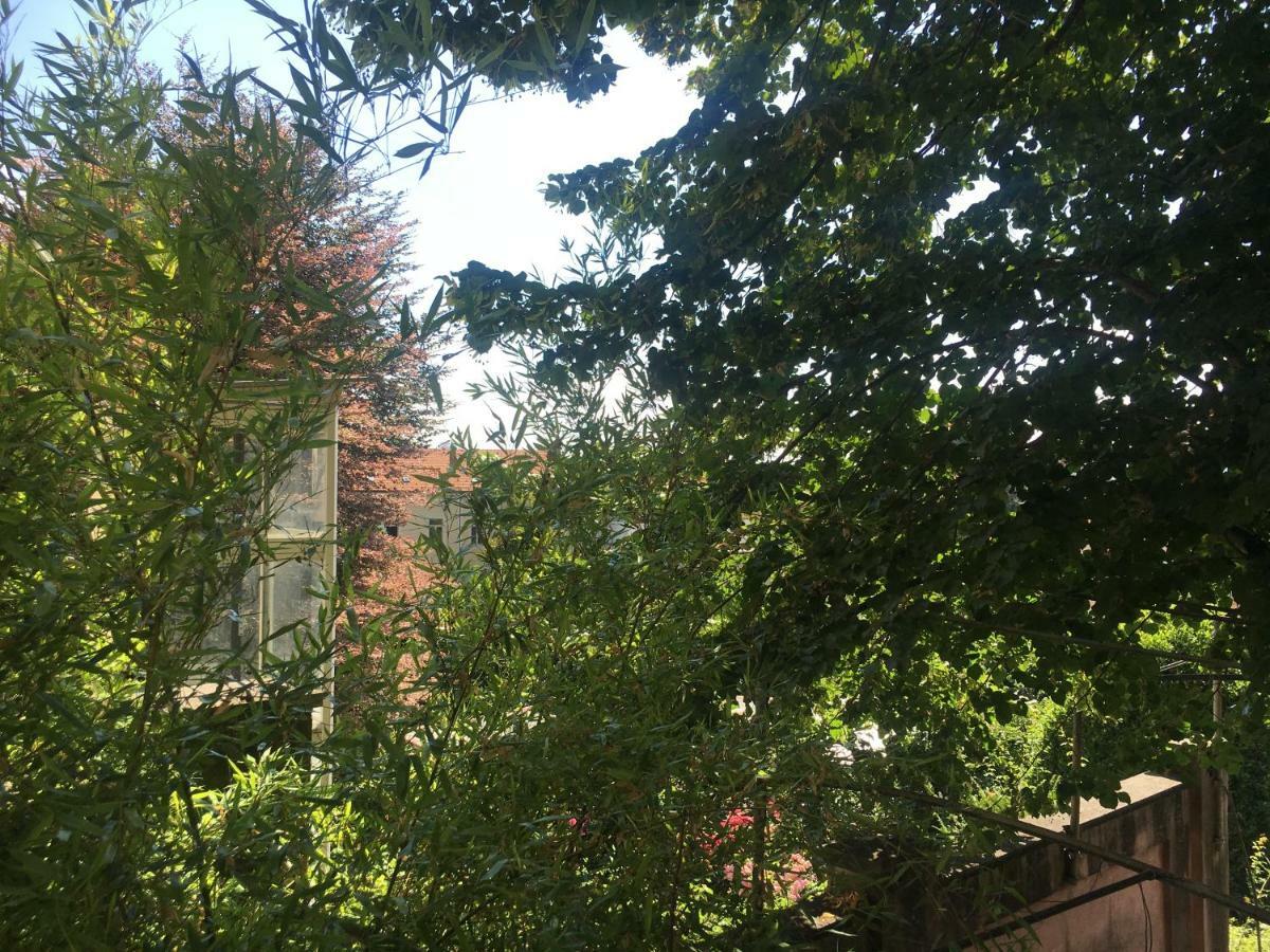 Il Ricciolo B&B Turin Exteriör bild